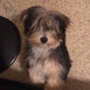 Meet your Posher, Paola n.